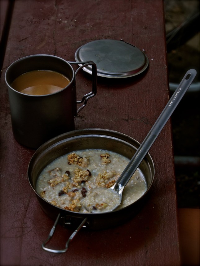 breakfast: coffee, oatmeal, granola and craisins