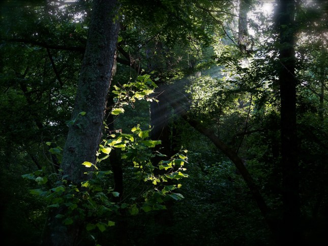 j.c. sunray along the c&o canal