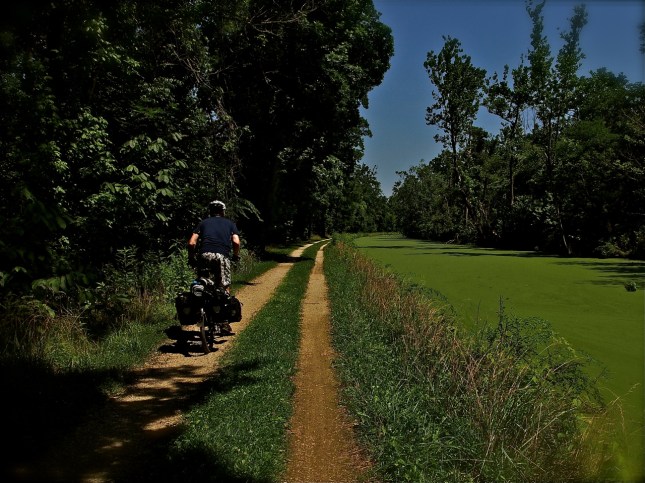 cycling alongside an algae filled c&o canal