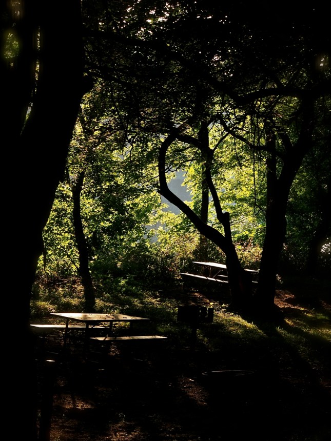 picnic tables along the c&o canal