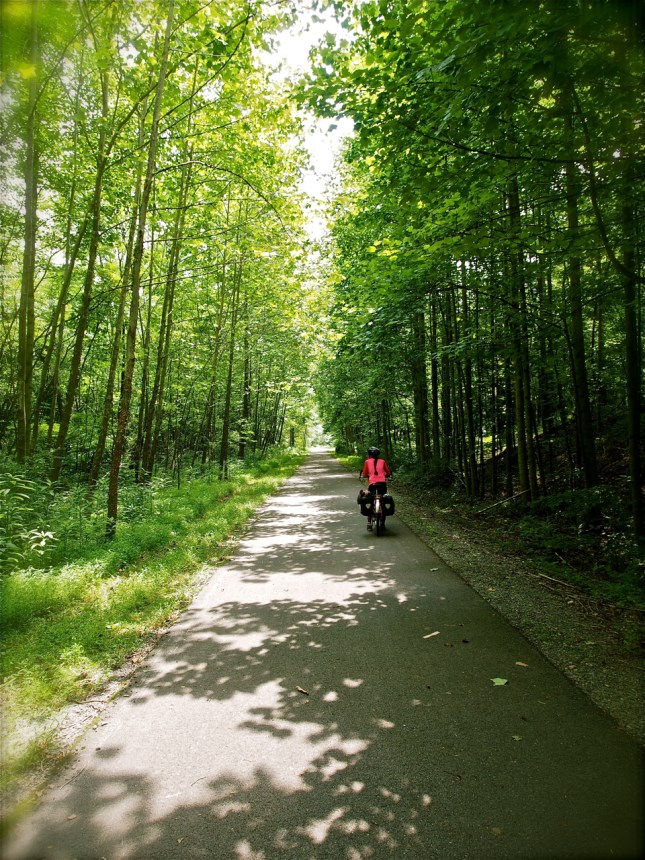 cycling on a shady bike path along the c&o canal